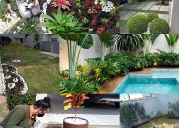 Flores e gourmet também é paisagismo