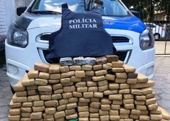 PM apreende quase 100 Kg de maconha no Norte do ES