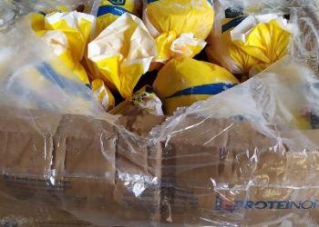 Polícia descobre desvio de carga em Ecoporanga e prende motorista de caminhão