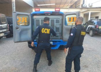 PRIMEIRO SEMESTRE DE 2021 – Guarda Civil Municipal de Linhares executou 572 ações
