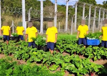 IASES EM LINHARES – Familiares recebem verduras e legumes cultivados por socioeducandos