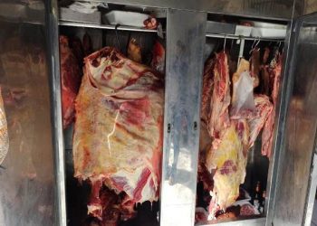 VÍDEO – PC e GCM apreendem quase uma tonelada de carne clandestina em Linhares. 6 comerciantes são levados para Delegacia