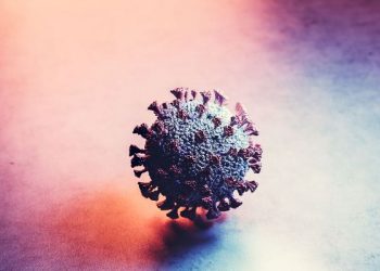 COVID-19 – Brasil tem menor número diário de casos desde janeiro