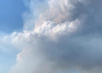 Incêndio em canavial de usina de álcool em Linhares