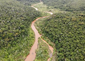 INÉDITO – Estudo identifica o risco de extinção de espécies aquáticas da bacia do rio Doce