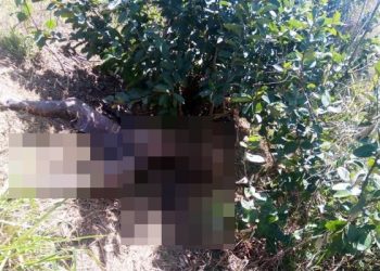 Corpo em adiantado estado de decomposição é encontrado em propriedade Rural de Linhares,na região da Japira