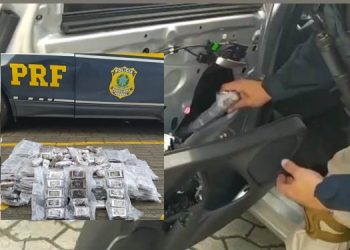 VÍDEOS – PRF apreende 46 quilos de haxixe, na BR 101