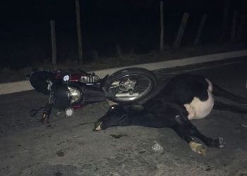 Colisão envolvendo dois veículos e uma vaca deixa duas vítimas em Linhares