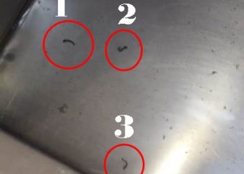 DENÚNCIA – Usuária de Unidade de Saúde em Linhares afirma ter encontrado larvas do mosquito da dengue em bebedouro de água. Veja vídeo