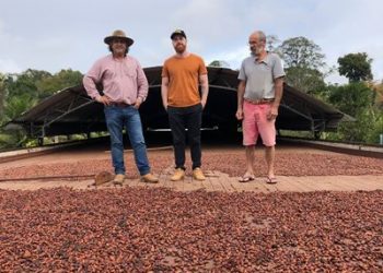 Primeira etapa do Projeto de Branding da IG do Cacau de Linhares e finalizada