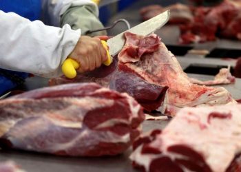 Suspeita de “Vaca Louca” pode afetar preço da carne nos próximos dias. Entenda!