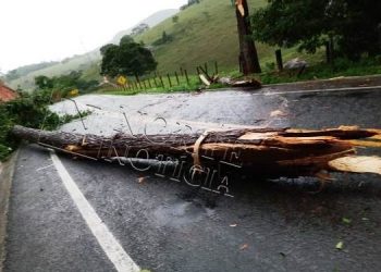 Linhares e mais 50 cidades do ES tem novo alerta de vendaval e previsão de chuva