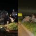VÍDEOS – ATUALIZAÇÃO – Acidente grave entre dois automóveis na estrada da Lagoa Nova em Linhares deixa 4 vítimas