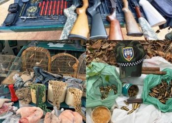 Polícia Militar Ambiental divulga resultado de Operação contra crimes de caça no norte do Espírito Santo
