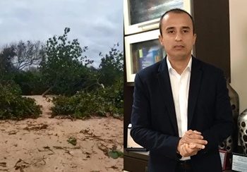 VÍDEOS – Corte de castanheiras no Pontal – “Dá maneira que está sendo feita, não faz sentido”. Diz Lucas Scaramussa, Advogado ambientalista