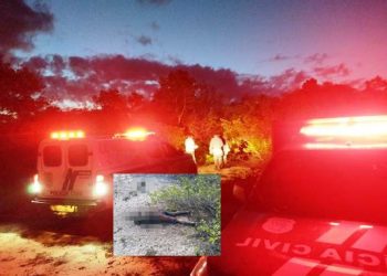 ATUALIZAÇÃO: ENCONTRO DE CADÁVER – Corpo em adiantado estado de decomposição é encontrado na Região de Degredo em Linhares