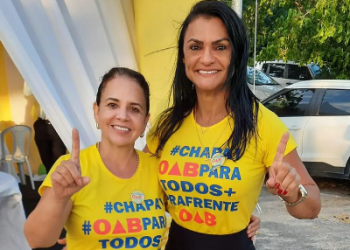 Alcídia de Paula é reeleita presidente da 3ª subseção da OAB-ES