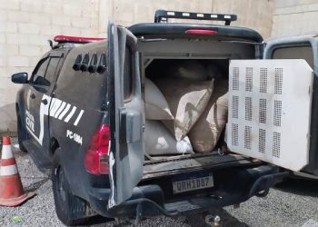Polícia Civil recupera mais de 500 quilos de pimenta que haviam sido furtados em Sooretama