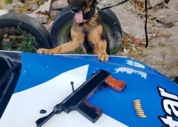 Pandora localiza submetralhadora em terreno baldio