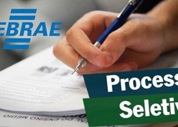 Sebrae/ES está com processo seletivo para contratação de Analistas e Assistentes, com salários de vão de R$ 2.112,06 a 5.093,69