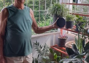 Previna-se de outra doença perigosa: a dengue