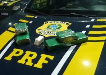 PRF apreende maconha e crack em transporte coletivo na BR 101