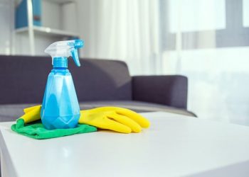 Mulher deve indenizar ex-empregada por acusá-la de furtar dinheiro de sua bolsa