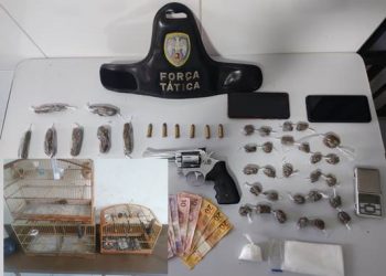 Força Tática leva dois para a cadeia e apreende arma de fogo, munições, drogas e até pássaros