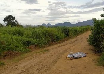 Homem é morto com duas facãozadas e uma facada em Desengano, Interior de Linhares