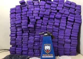 Polícia Militar apreende mais 200 tabletes de maconha no Córrego Areia, interior de são Mateus