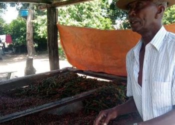 LUTO – Morre João Correia, pai do taxista Luiz Fernando