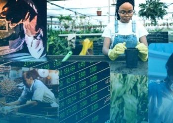 Espírito Santo registra melhor saldo de postos de trabalho dos últimos dez anos