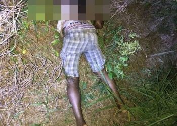 8 FACADAS – Corpo em adiantado estado de decomposição é encontrado em Desengano