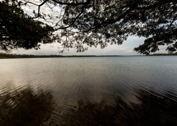 Parceria promove curso técnico em Agroecologia para assentados de reforma agrária no ES