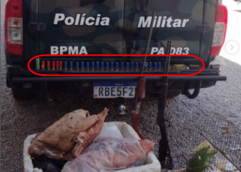 Polícia Militar Ambiental apreende armas de fogo, munições, carne de caça abatida e papagaio