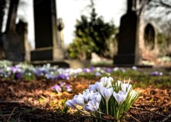 Município de Aracruz deve indenizar mãe que teve túmulo de seu filho destruído