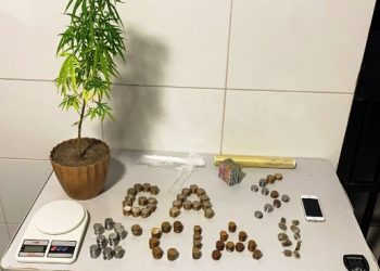 CANIVETE – Polícia Militar apreende pé e buchas maconha, além de dinheiro e objetos usados utilizados para o tráfico