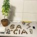 CANIVETE – Polícia Militar apreende pé e buchas maconha, além de dinheiro e objetos usados utilizados para o tráfico