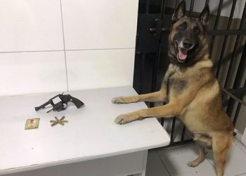 Força Tática e Cão Nill; mais uma arma de fogo fora de circulação em Linhares