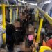 VÍDEOS – Problemas no transporte público, reclamações dos usuários vão de superlotação, atraso e até goteiras dentro do ônibus