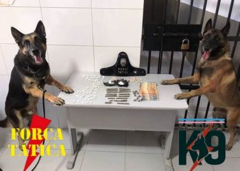 Força Tática aprende drogas no “Pó do Aviso”