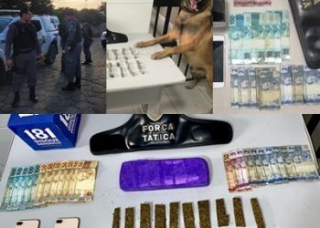 Operação Estado Presente: bambu gemeu durante ação da Polícia em 8 bairros de Linhares, 4 pessoas foram detidas