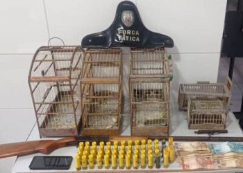 Polícia Militar cumpre mandado de busca e apreensão na região de  Palhal e em Bebedouro