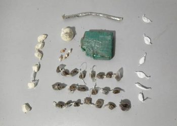 MADRUGADA DE SÁBADO – Equipe K9 do Cão Nill localiza drogas escondidas em buracos de muros em Rua do Interlagos