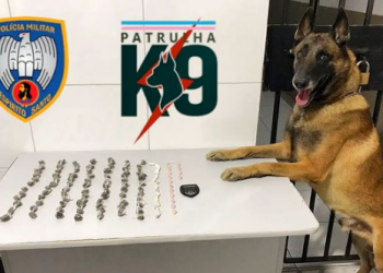 Polícia Militar apreende maconha, Crack e cocaína no B. Interlagos