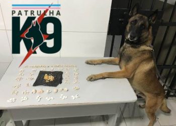 ARAÇÁ – Cão Nill entra em cena e PM faz apreensões de crack e cocaína