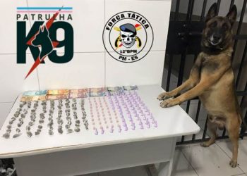 BOM DE FARO – Cão Nill descobre drogas em terreno no Santa Cruz