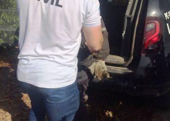 Suspeito de cometer homicídios em São Paulo é preso pela Policia Civil em Sooretama