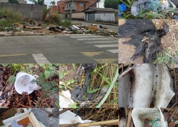 VÍDEOS – Moradores reclamam de “LIXÃO”, em lote no Planalto, Prefeitura multa proprietário e dá 5 dias para ele fazer a limpeza