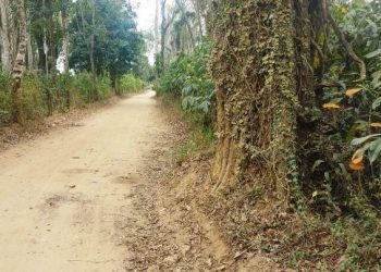 VÍDEO – Motociclista é encontrado em estado grave e desacordado em estrada de fazenda em Bebedouro